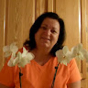 Meet your Posher, Jan